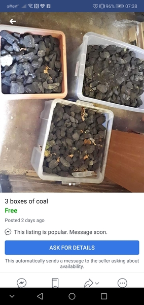 Let's have a worst garden thing for sale on Facebook near me competition. I'll go first....