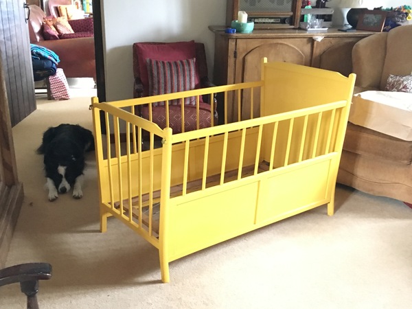 Feb 2019 babies thread 7! Growing bumps and gender reveals!