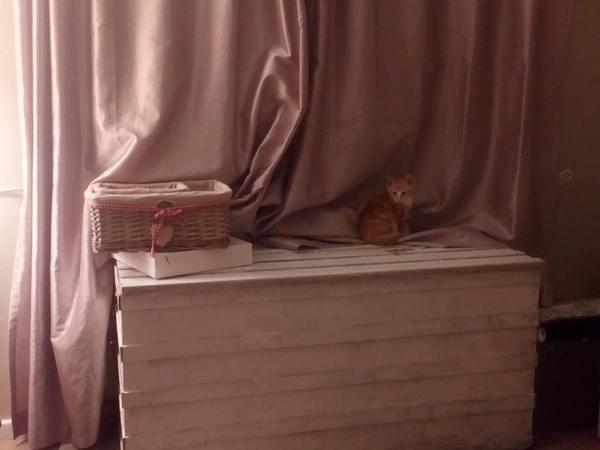 Help me understand the disturbance last night