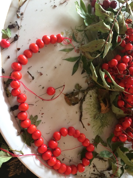 Any Witches Here ? Part 2