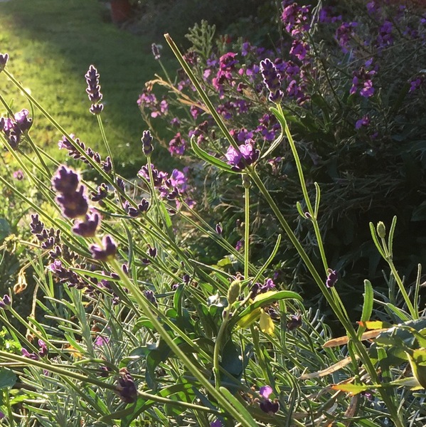 Any Witches Here ? Part 3