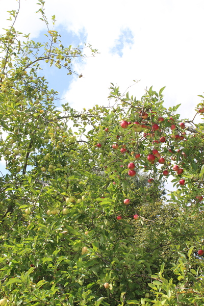 September fledgling roll call: Ready, Set, FLY....