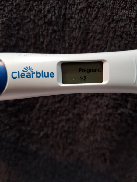 August IVF