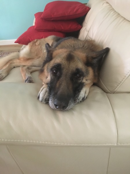 Scrimping through the remains of September, Austere Autumn approaching, frugal friendly 'Fred