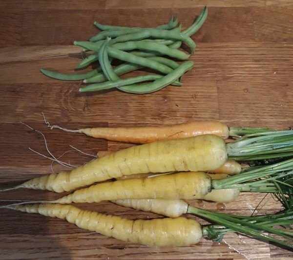 Allotment?Veg Patch Thread 13! Are we weathering the weather?