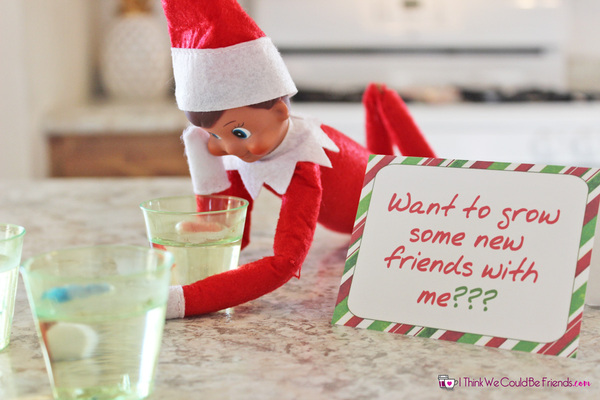 Elf On The Shelf Support Group/Ideas