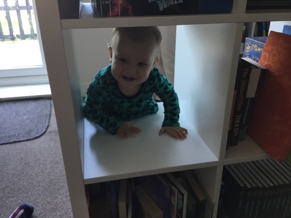 Ikea Kallax shelves