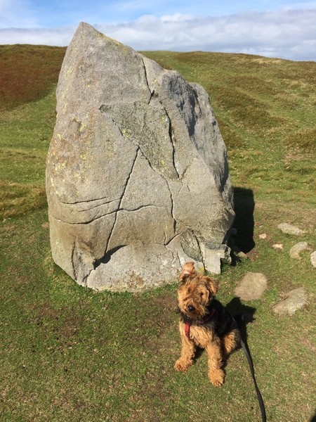 Any Witches Here ? Part 2