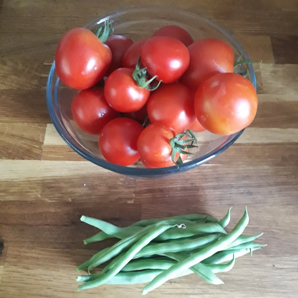 Allotment?Veg Patch Thread 13! Are we weathering the weather?