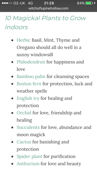 Any Witches Here ? Part 2