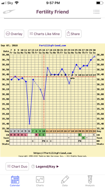 TTC after pregnancy loss - thread 26 - BFPs are coming!