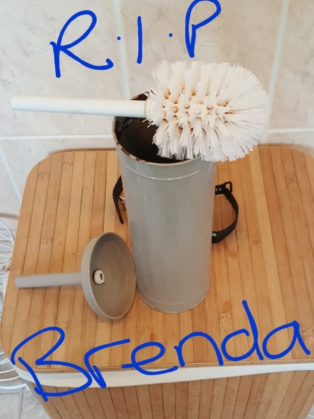 Lighthearted - he broke the fucking toilet brush