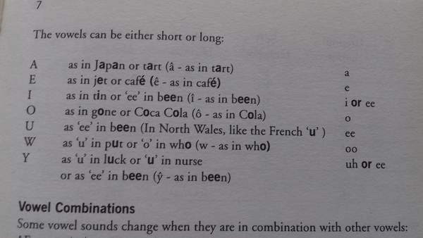 To ask how you would pronounce this name?