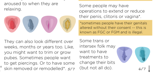 BISH - "proudly supported by....."