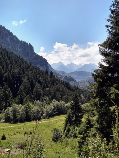 Best family walking/mountains/wildlife location?