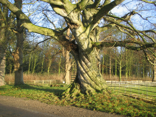 Any Witches Here ? Part 3