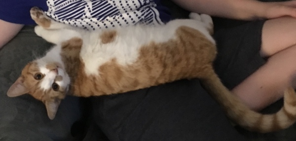 Any Witches Here ? Part 2