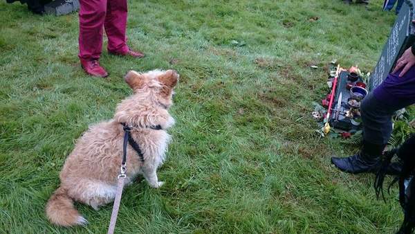 Any Witches Here ? Part 3