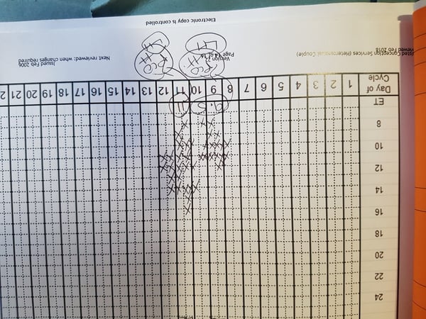 August IVF