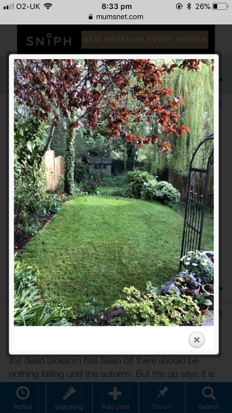 How do I garden?