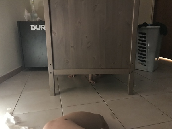 For not giving in to 11mo’s screams