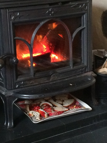 Any Witches Here ? Part 2