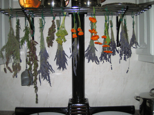 Any Witches Here ? Part 2