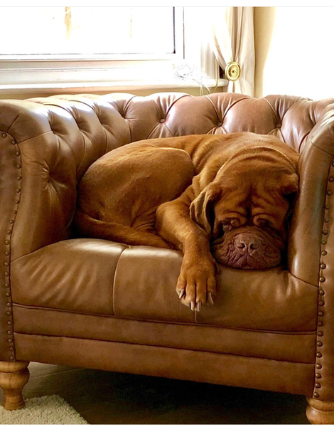 We're not that old but we're losing our hair... Do you still need us, now we're sixty four?! - CANCER SUPPORT THREAD 64