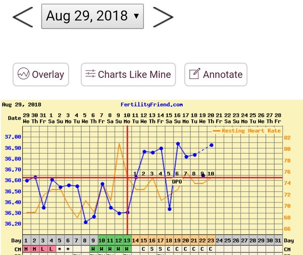 TTC after pregnancy loss - thread 25 BFPs for all!