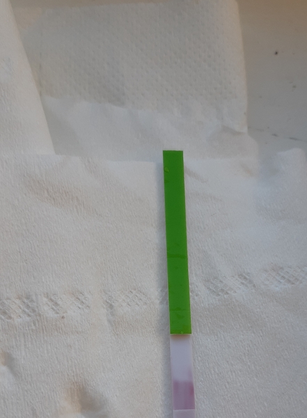Opk strip help pls for 1st timer!