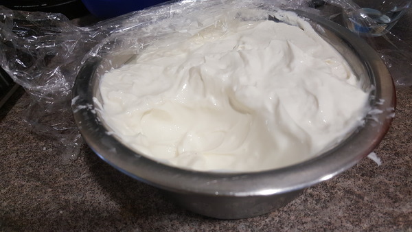 We’ve ordered an Instant Pot