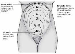 How far pregnant am I?!