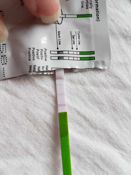 Which to believe CB digital ov test or ic opk