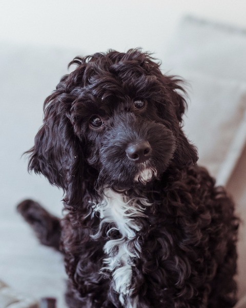 We're not that old but we're losing our hair... Do you still need us, now we're sixty four?! - CANCER SUPPORT THREAD 64