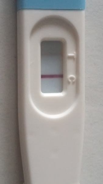 Does this look pregnant to you?