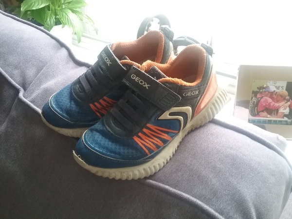 Shoes destroyed (pictures included)