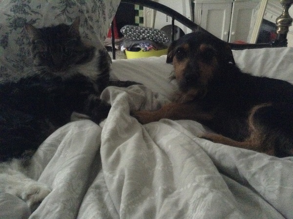 We're not that old but we're losing our hair... Do you still need us, now we're sixty four?! - CANCER SUPPORT THREAD 64