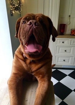 CANCER SUPPORT THREAD 65 - for anyone with cancer or waiting for cancer tests (pets welcome!)