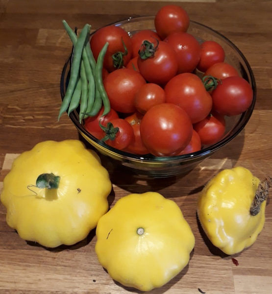 Allotment?Veg Patch Thread 13! Are we weathering the weather?