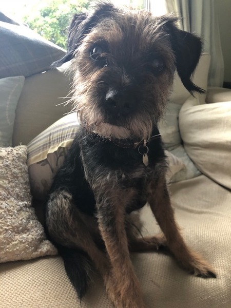 July book of the month: Why Mummy Swears by Gill Sims - Read and join the discussion and author webchat on Weds 5 September, 9pm.