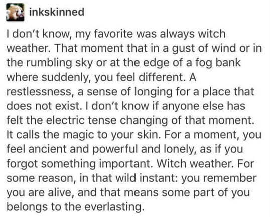 Any Witches Here ? Part 3