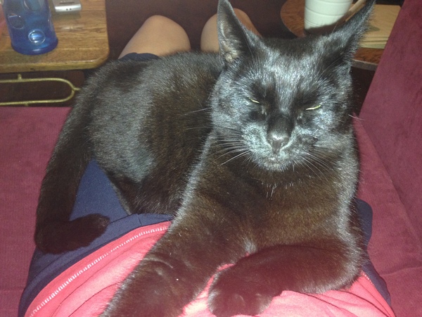 We're not that old but we're losing our hair... Do you still need us, now we're sixty four?! - CANCER SUPPORT THREAD 64