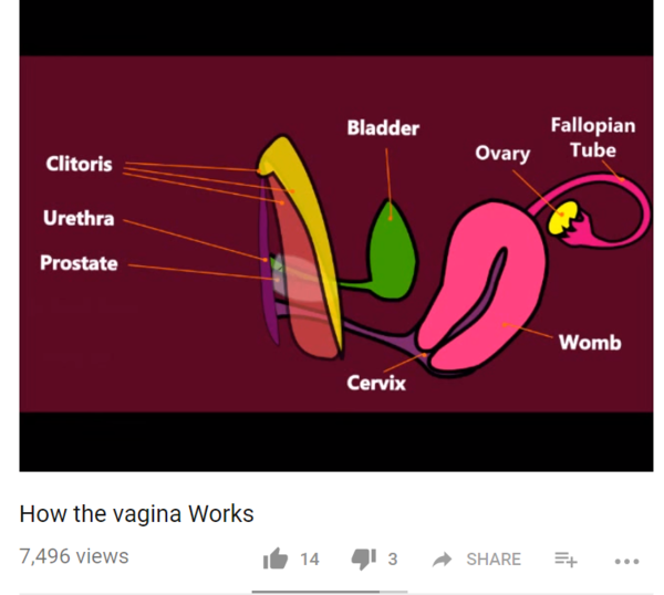 BISH - "proudly supported by....."