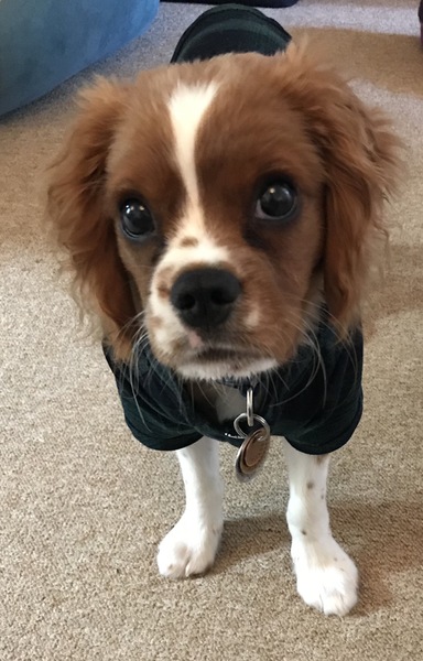 We're not that old but we're losing our hair... Do you still need us, now we're sixty four?! - CANCER SUPPORT THREAD 64