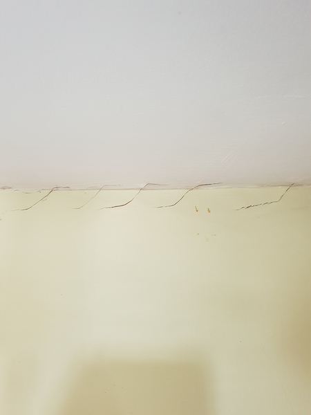 Ceiling paint flaking off
