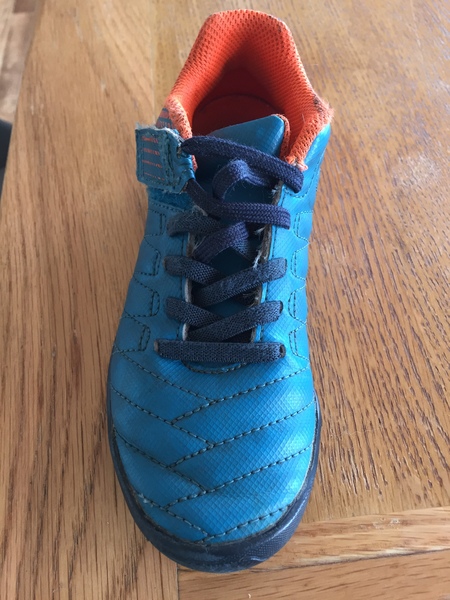 Shoes destroyed (pictures included)