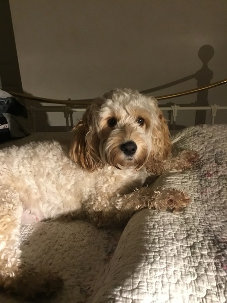 D' ya ever wonder if we'll get through in one piece?