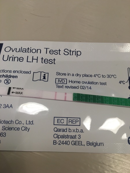 Is this OPK positive?