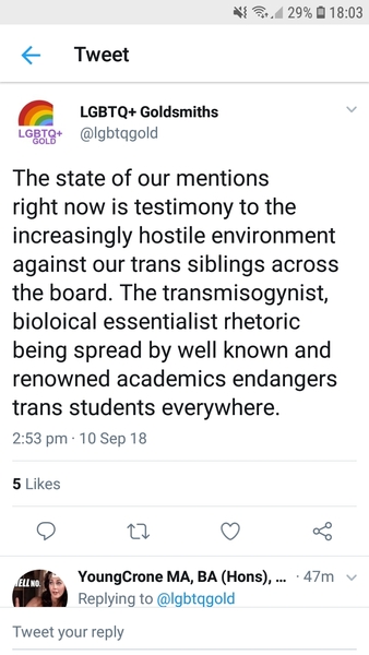The Times -  smear campaign by trans lecturer at Goldsmiths