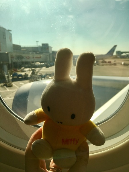 Feb 2019 babies thread 7! Growing bumps and gender reveals!